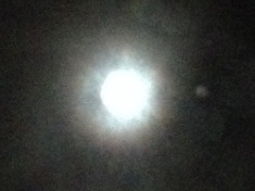 ￼￼kayla_parker_moon1_15_01_03