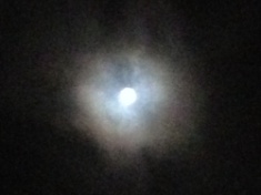 ￼￼kayla_parker_moon1_15_10_27