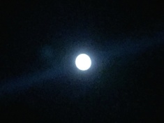 ￼￼kayla_parker_moon1_16_11_13