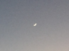 ￼￼kayla_parker_moon1_16_12_02