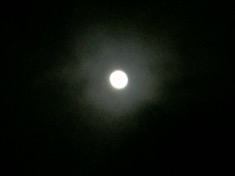 ￼￼kayla_parker_moon1_17_01_11