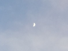 ￼￼kayla_parker_moon1_17_02_03