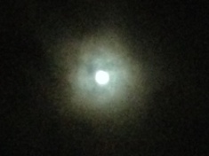 ￼￼kayla_parker_moon2_15_10_27