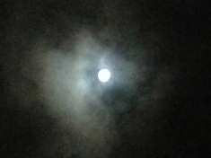 ￼￼kayla_parker_moon2_15_11_26