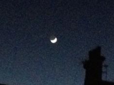 ￼￼kayla_parker_moon2_16_02_10