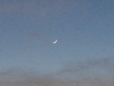 ￼￼kayla_parker_moon2_16_03_10