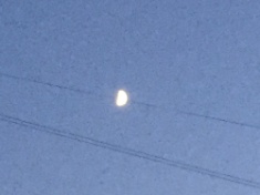 ￼￼kayla_parker_moon2_16_07_11