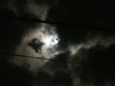 ￼￼kayla_parker_moon2_16_12_13