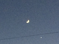 ￼￼kayla_parker_moon2_17_01_02