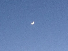 ￼￼kayla_parker_moon2_17_03_01