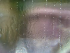 Stuart's photo of Kayla through a glass of Cava