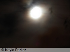 Photo of the gibbous moon, hand-held long exposure