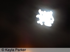 Moon outside Tate Moder, hand-held, walking along