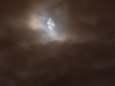 photo of full moon taken through branches of the birch tree in the back garden