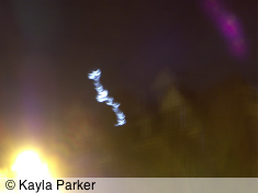 kayla's photo of the new crescent moon, hand-held in the cold at the top of May Terrace