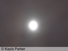 kayla's photo of the full moon, taken hand-held on long exposure close to midnight