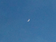 new crescent moon in blank sky