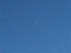 1st photo of new crescent moon