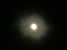 kayla_parker_moon1_17_04_01