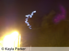 kayla's second photo of the new crescent moon, taken a minute later, hand-held in the cold at the top of May Terrace