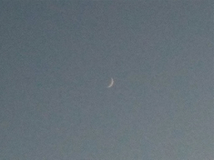 photo of new crescent moon taken a few seconds later, from front doorstep