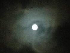 kayla_parker_moon2_15_09_27