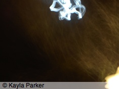 Moon a bit later after leaving Leon, Bankside; hand-held, while walking