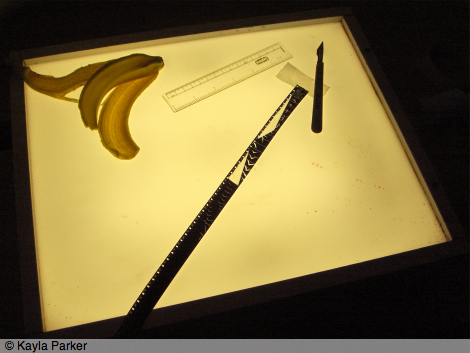 Colour photo of lightbox with banana skin, plastic ruler, scalpel and strip of 16mm film