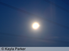 Kayla's second photo of full moon, taken a few seconds later handheld from bedroom window through telephone wires