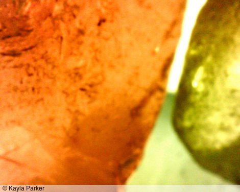 kayla_parker_films_glass2