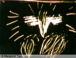 kayla_parker_phd_talks_tait_numen_of_the_boughs2