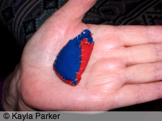 kayla_parker_jonnis_hand_hair_cushion