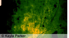 kayla_parker_small_hair_piece2_2