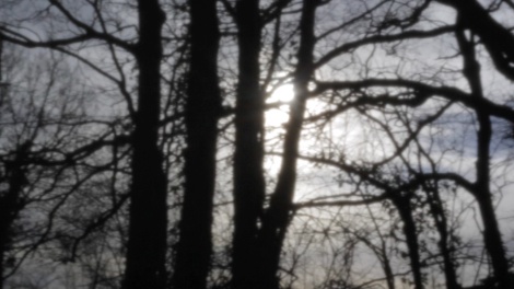 On_Location-filmstill_Jan_2016