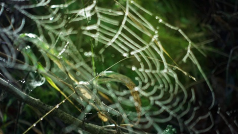 kayla-parker-2017-on-location-still-new_materialism-seminar