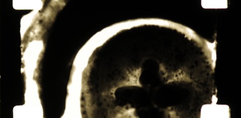 kayla-parker-films-2008-hold