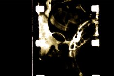 Digital photo of 16mm film frame, before cropping and colour harmonisation