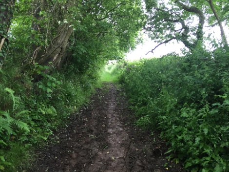 kayla_parker_on_location_documentation_16-06-19_01-by_the_greenway