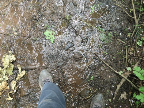 kayla_parker_on_location_documentation_16-07-17_01-stream