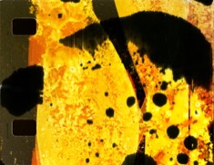 purling-2020-parker-moore-16mm2-235