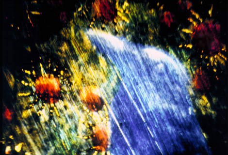 kayla_parker_unknown_woman01