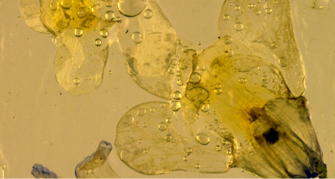 kayla_parker_verge_sculptural_geometry