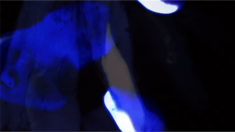 kayla-parker-verge-nocturne