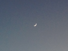 ￼￼kayla_parker_moon1_14_12_24