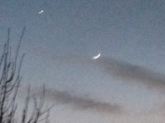 ￼￼kayla_parker_moon1_15_02_20