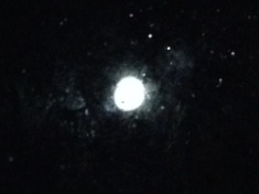 ￼￼kayla_parker_moon1_15_05_25