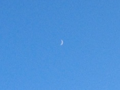 ￼￼kayla_parker_moon1_15_06_22