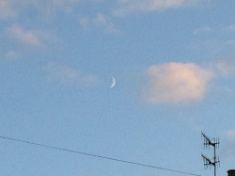 ￼￼kayla_parker_moon1_15_07_21