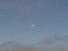 ￼￼kayla_parker_moon1_16_03_10