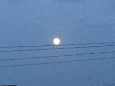 ￼￼kayla_parker_moon1_16_07_19